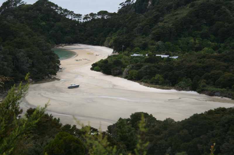 Nieuw-Zeeland 2011 - 1029